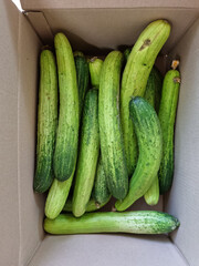 Cucumbers in a brown box.
