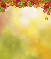 Obraz na płótnie Canvas Vector autumnal colorful l maple leaves border. Autumnal background.