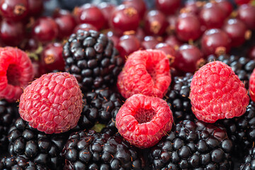 Background from a mix of different berries, macro photography.