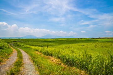 大分県　やまなみハイウェイ

