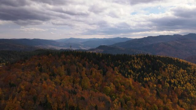 Drone orbital shot over antenna on top of the mountain with yellowed autumn colored trees, aerial view of the scenic and colorful forest during fall season in Carpathian