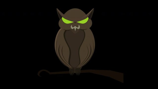Owl cartoon animation, alpha channel. Animated owl body, Halloween object. 4K video element for Halloween.