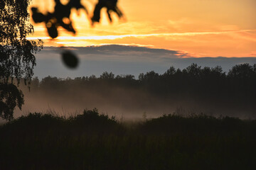 Jesienny mglisty krajobraz, zachód słońca, trawy we mgle na łące o zmierzchu.