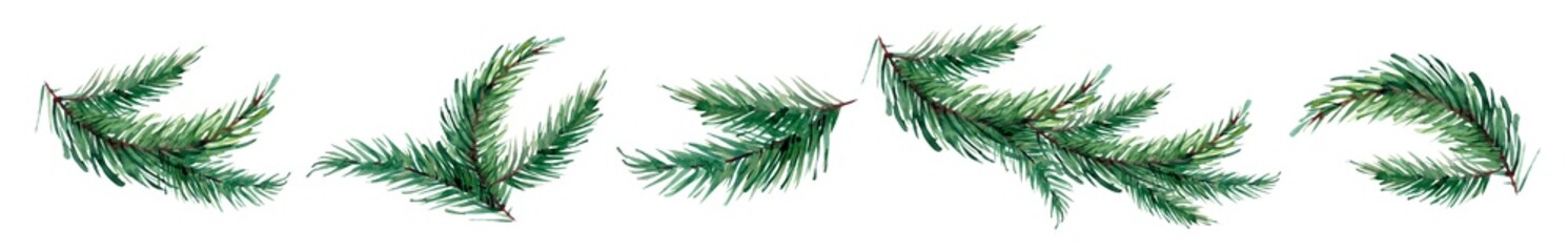 Watercolor new year fir branches isolated on white