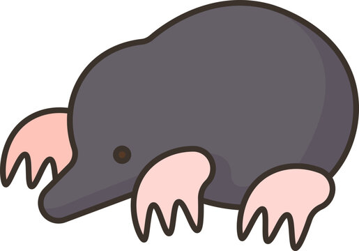 Mole  Icon