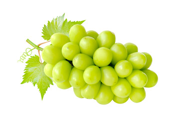 Beautiful bunch of fresh green Shine Muscat grape with leaves and vine isolated on background.