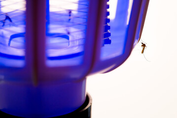 Electric mosquito trap attract insects with UV light. - 533655968