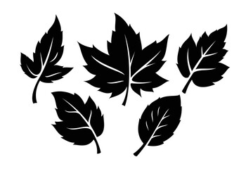 set of autumn leaves monochrome illustration