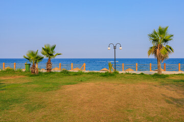 Palm trees on the promenade of the city beach in Turkey on the Mediterranean coast
