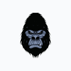 Obraz premium Very detailed and realistic hand drawn head gorilla illustration