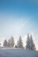 mountain landscape in the winter