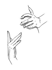 pencil sketch of hands on a white background