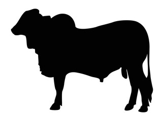 Cow set. Cow silhouette white isolated hand drawn vector illustration of cow silhouette.