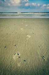 Gordijnen Footprints on the beach, walking into the ocean © Piet