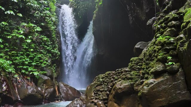 Fabulous wild nature in tropical rainforest. Green vegetation on brown rocks against water streams falling down on river cascade in jungle. Splashes of roaring waterfall for natural background design