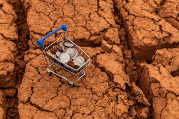Fototapeta na wymiar Miniature supermarket shopping cart with american coins on cracked clay in desert
