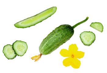 Cucumber and slices isolated on white background, top view