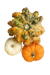 Three pumpkins for autumn decoration  isolated on transparency photo png file 