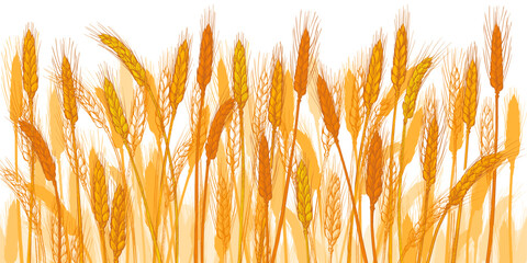 Ears of wheat. Barley cereals harvest, spike, grain, corn, agriculture, organic farming, healthy food symbol. Bakery design element. Vector illustration © mozart3737