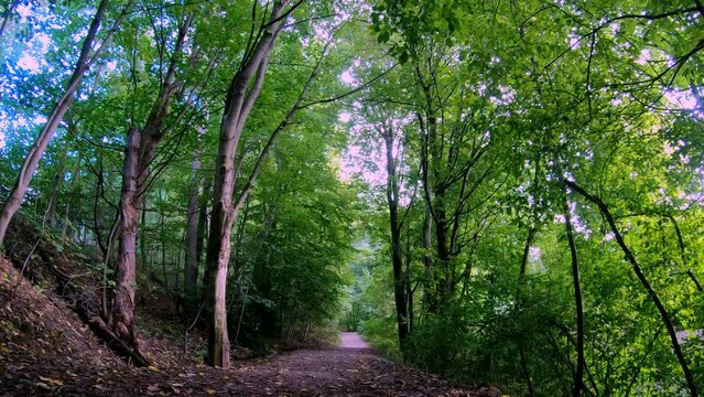 Hinter Realschule Schwelm Hike