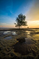 Beautiful sunset scenery at the beach