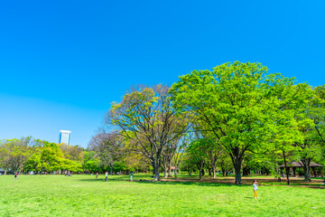 東京　春の代々木公園