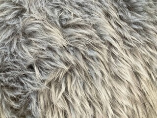 wool rug for texture background