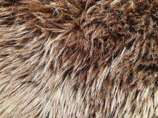 wool rug for texture background