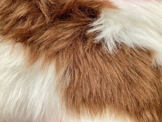 wool rug for texture background