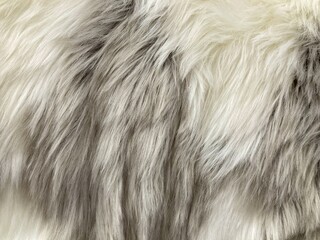 wool rug for texture background