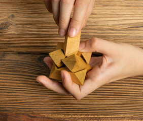 Wood Puzzle, Brain Teaser, Wooden Logic Game 3d Block