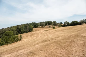 Fotobehang Extremely dry mowed agricultural field in Ore Mountains "Erzgebrige", Saxony during drought of Germany 2022. Forest, blue sky summer trip. Amtsberg area. © Wenig Boese