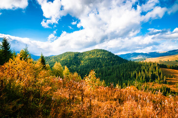 Panoramic mountain view. Autumn in the mountains