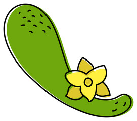 Cucumber sketch. Fresh green vegetable with yellow flower.Healthy food illustration. Hand drawn doodle color icon. Vegetarian product