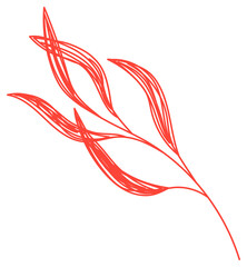 Willow branch. Red leaf sketch. Hand drawn illustration. Pen or marker doodle plant