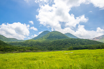 大分県　長者原・タデ原湿原の風景
