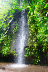 waterfall in the jungle forest - Bali