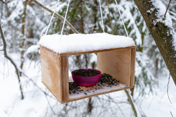 feeder with millet, oats, grains for bird in winter forest. seeds and nuts for squirrel supply for cold hungry time.