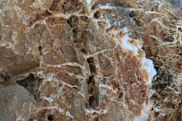 Inner layer texture of sedimentary rock. Stone background.