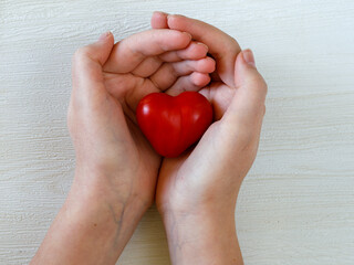 child hands holding small red heart close up on white background,