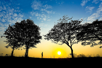 Fototapeta na wymiar silhouettes of trees and people against the background of blue sky and sunset
