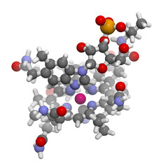 Vitamin B12 (cyanocobalamin) molecule