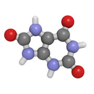 Uric acid molecule, chemical structure