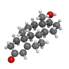 Testosterone male sex hormone, molecular modelTestosterone male sex hormone, molecular model