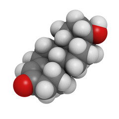 Testosterone male sex hormone, molecular modelTestosterone male sex hormone, molecular model