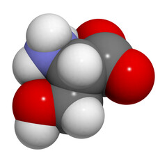Serine (Ser, S) amino acid, molecular model.