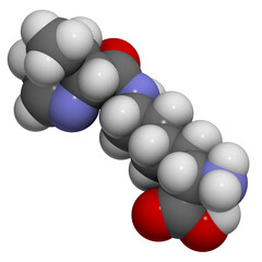 Pyrrolysine (Pyl, O) molecule.