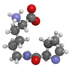 Pyrrolysine (Pyl, O) amino acid, molecular model.