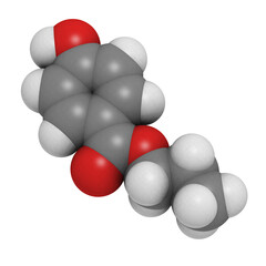 Propylparaben (E216) controversial preservative molecule. Used in cosmetics and pharmaceutical products.