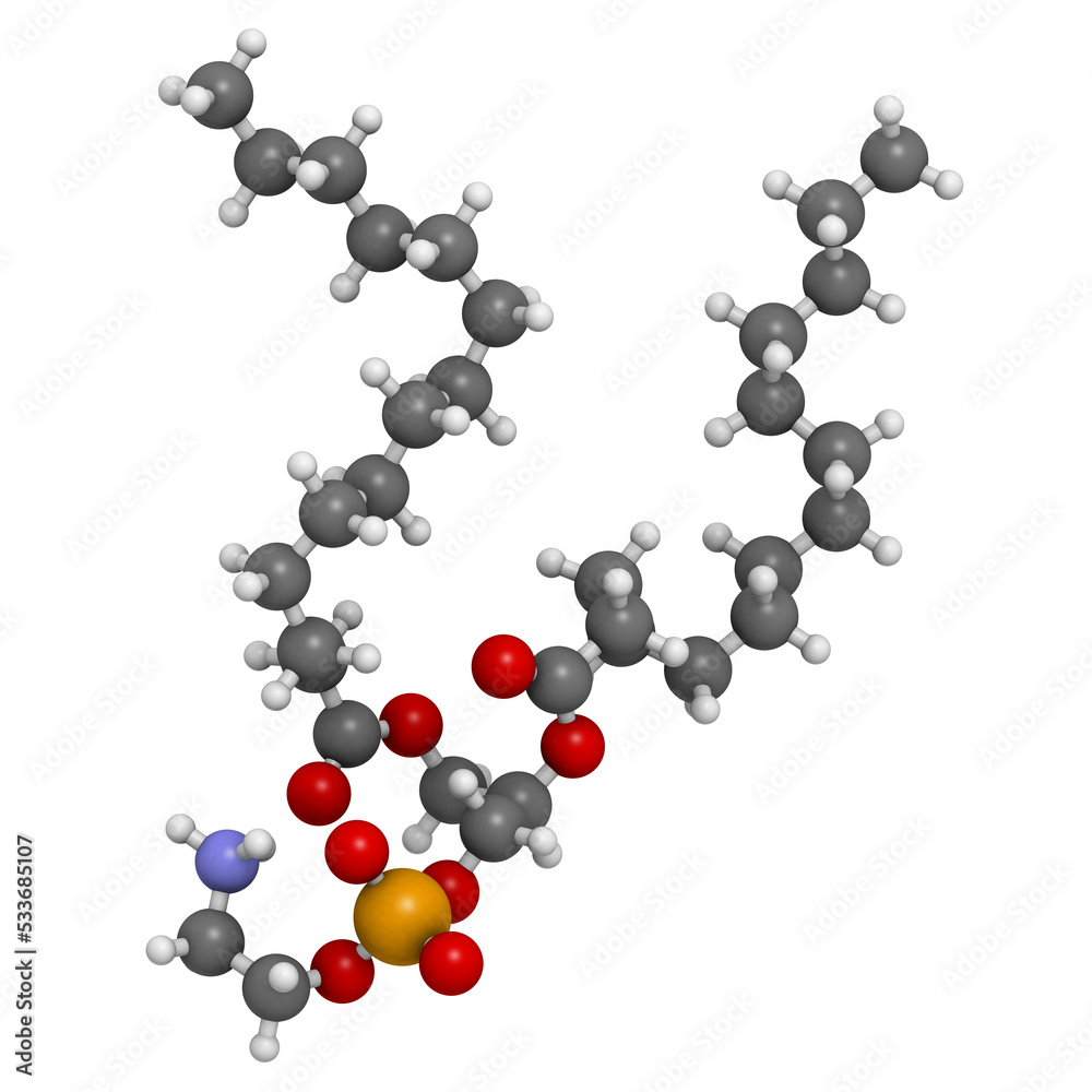 Sticker phosphatidylethanolamine (pe) cell membrane building block, molecular model.